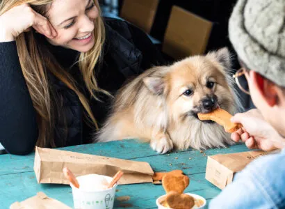 Dog eats a cookie at a Shake Shack restaurant